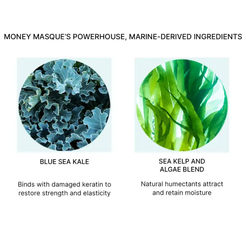 color-wow-money-masque--3