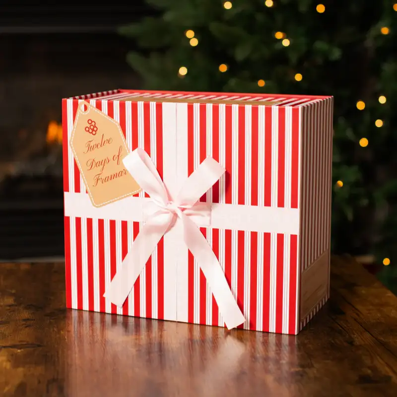 framar-12-days-of-framar-2025-advent-calendar--9