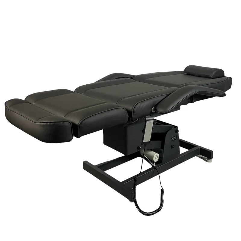 karma-hamilton-part-electric-beauty-bed--1